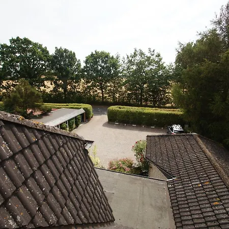 Narzisse * Dahme (Schleswig-Holstein)